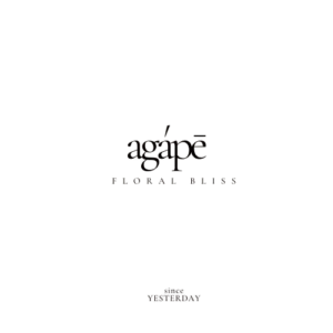 1__1_-removebg-preview