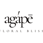 1__1_-removebg-preview