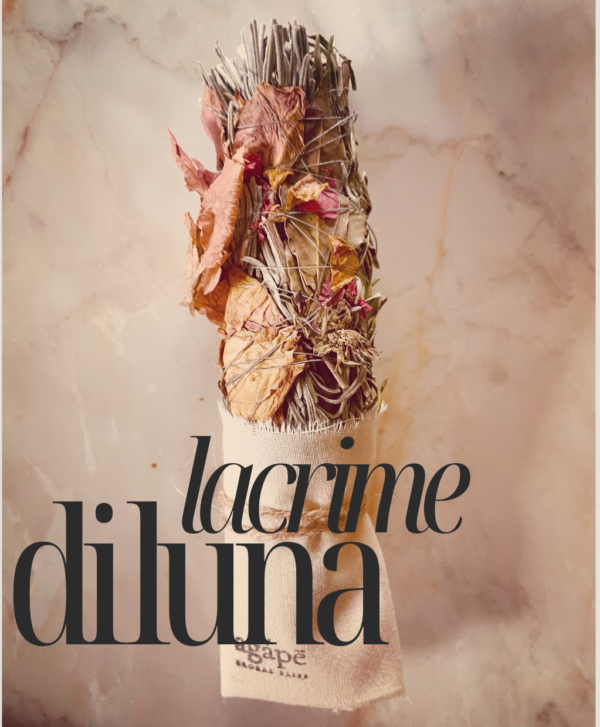 "Lacrime di luna"Base Cipresso - immagine 2